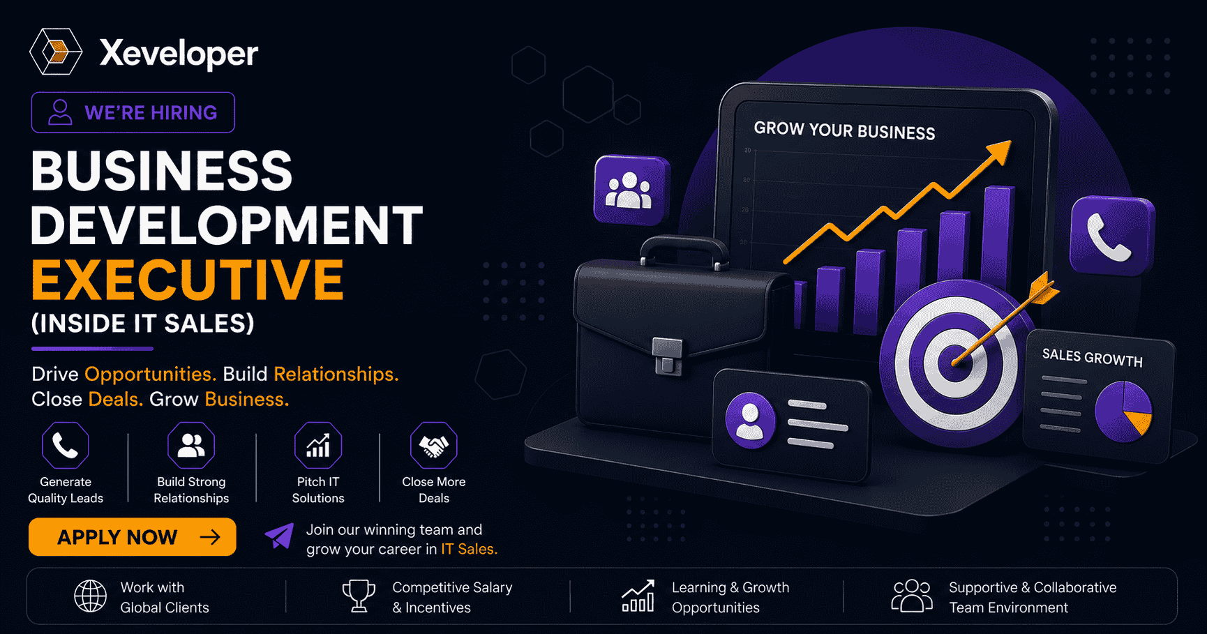 Business Development Executive (Inside IT Sales)